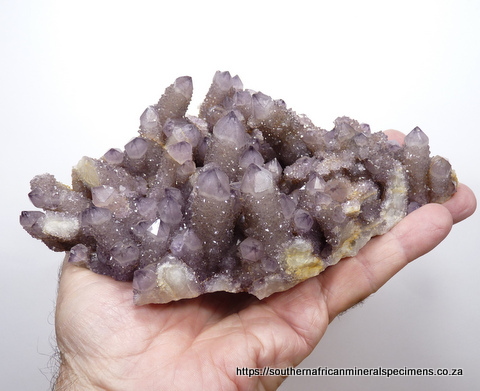 Smoky / amethyst cactus quartz specimen Smoky / amethyst cactus quartz specimen