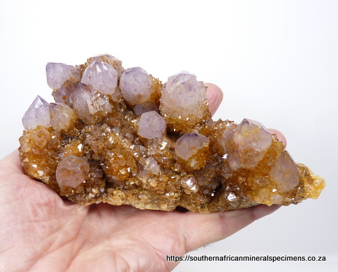 Light amethyst cactus quartz specimen Light amethyst cactus quartz specimen