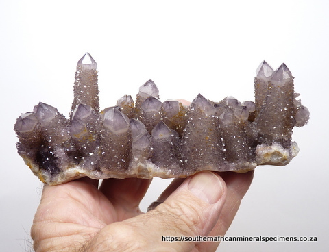 Smoky / amethyst cactus quartz specimen Smoky / amethyst cactus quartz specimen