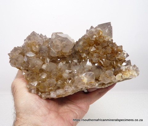 Light smoky cactus quartz specimen Light smoky cactus quartz specimen