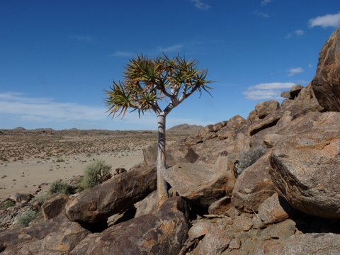 Orange River area, Northern Cape, South Africa