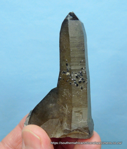 Smoky quartz crystal group with cassiterite Smoky quartz crystal group with cassiterite