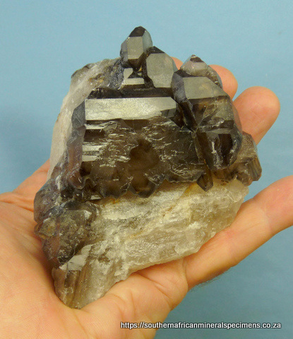 Smoky quartz crystals on milky quartz Smoky quartz crystals on milky quartz