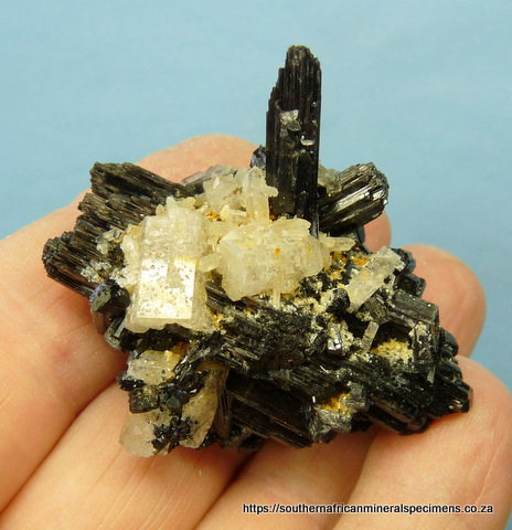 A group of unusually formed schorl crystals (variety foitite) with goshenite crystals. A group of unusually formed schorl crystals (variety foitite) with goshenite crystals.