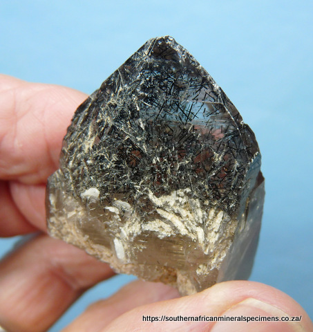 Smoky quartz crystal with prolific schorl inclusions Smoky quartz crystal with prolific schorl inclusions