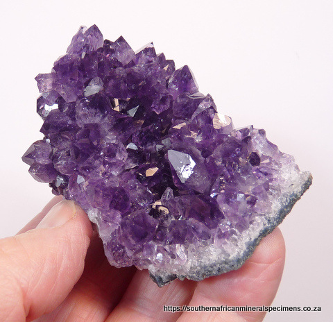 Amethyst quartz crystals on matrix