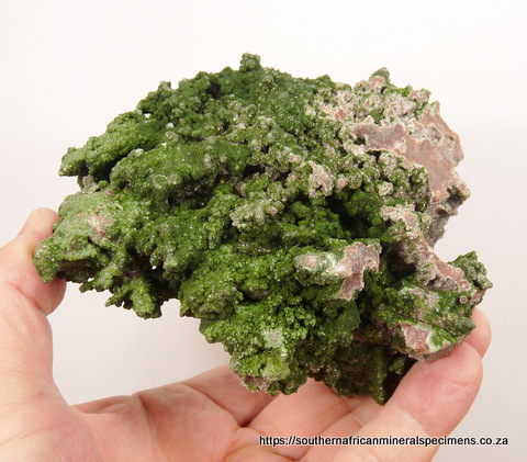 Mottramite and calcite on rock matrix