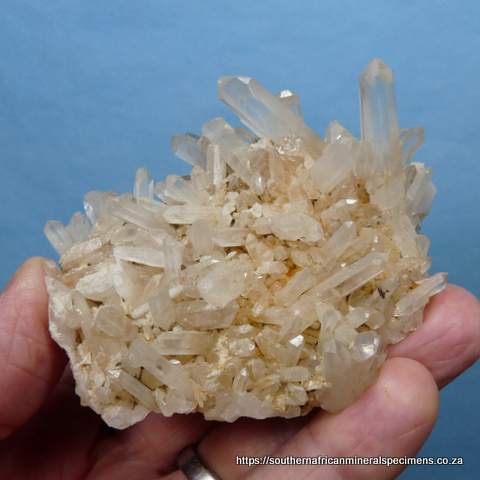 Quartz crystals on quartz matrix - Worcester mountains Quartz crystals on quartz matrix - Worcester mountains