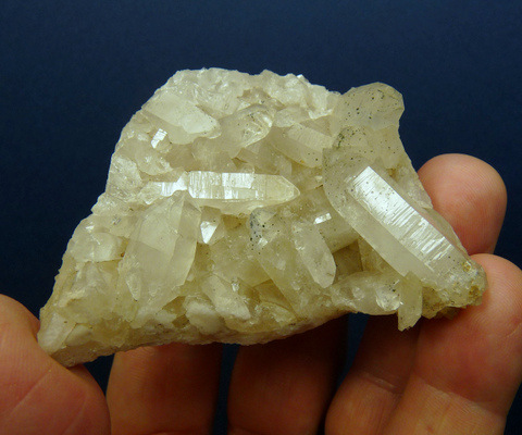 Plate of quartz crystals, some with chlorite inclusions Plate of quartz crystals, some with chlorite inclusions